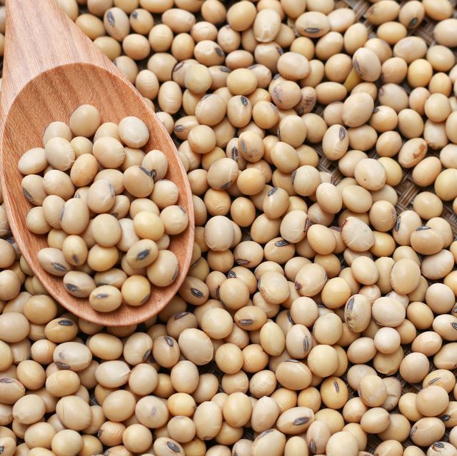 Iranian Soybeans Wholesale Supplier in Iraq; Wholesale Price, Import Regulations & Tariffs